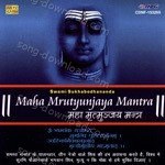 Swami Sukhabodhananda Songs MP3 Download